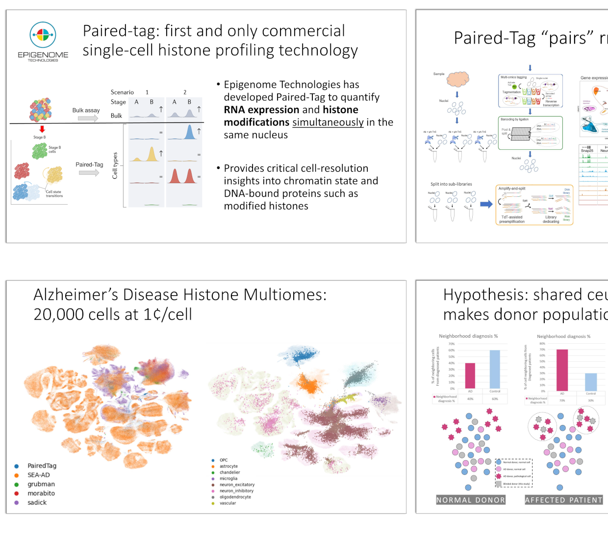 Thumbnail of Histone modification and gene expression poster