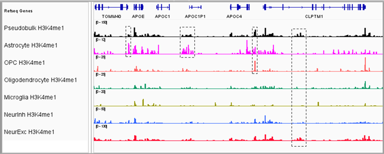 IGV genome browser tracks showing Paired-Tag chromatin and RNA signal