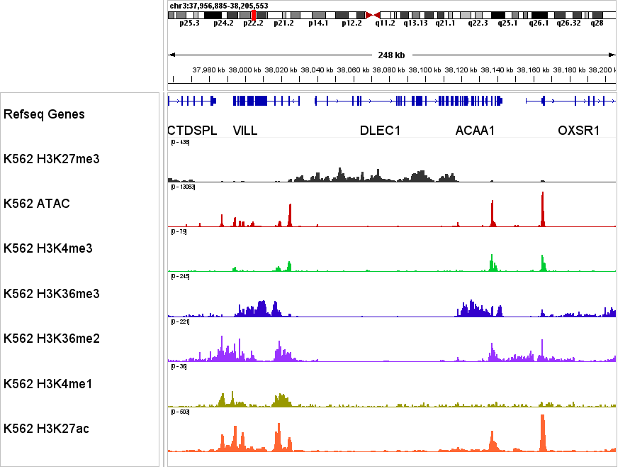CUT&Tag multi-target tracks in K562 cells