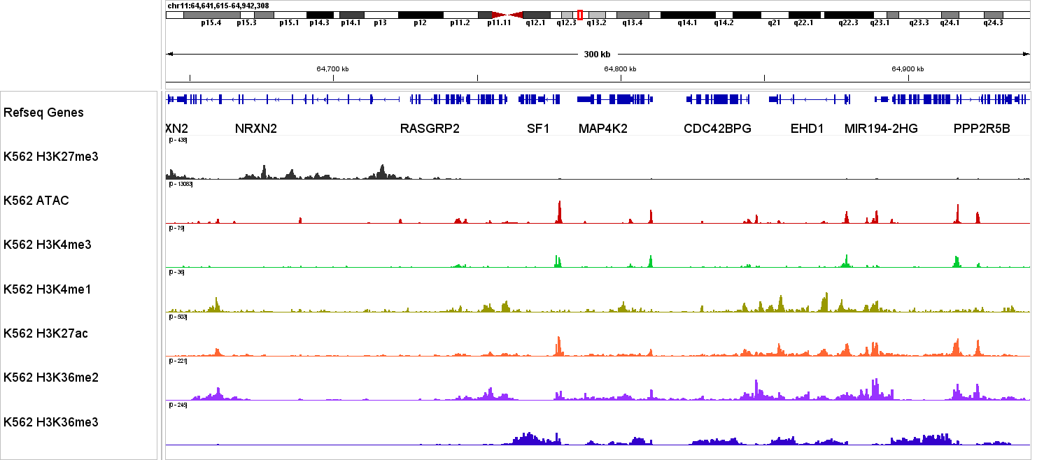 CUT&Tag profile comparison