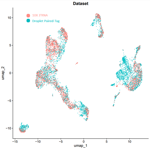 Integration of a single Droplet Paired-Tag Run (RNA) with 10X scRNA