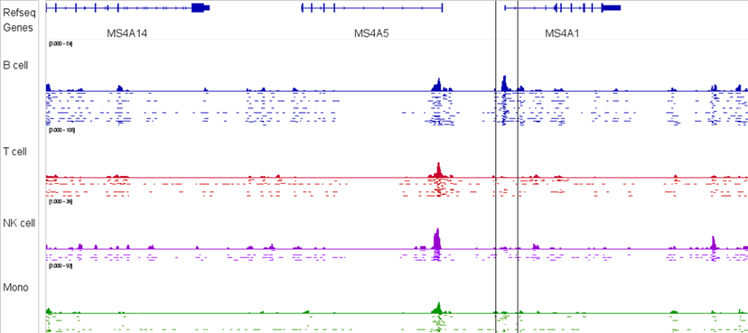 Paired-Tag H3K27ac signal at gene regulatory regions linked directly to transcript expression patterns
