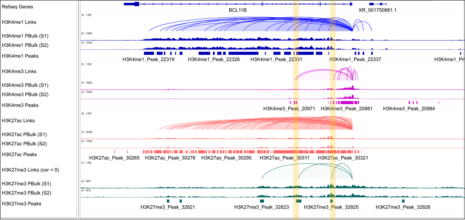 Paired-Tag genome browser view showing histone modifications linked to gene expression in PBMC populations