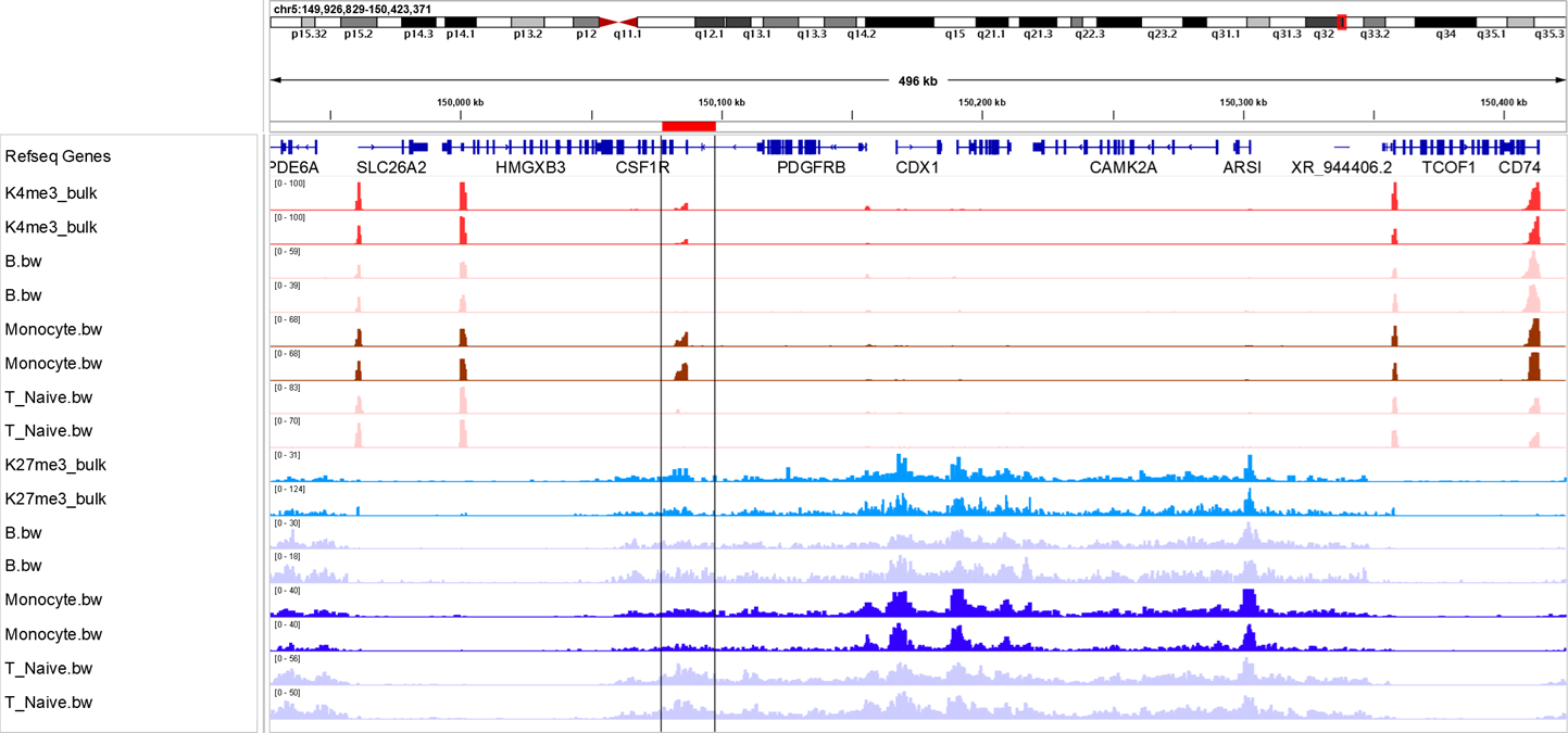 H3K4me3/H3K27me3 histone tracks from multiple cell types, IGV screenshot