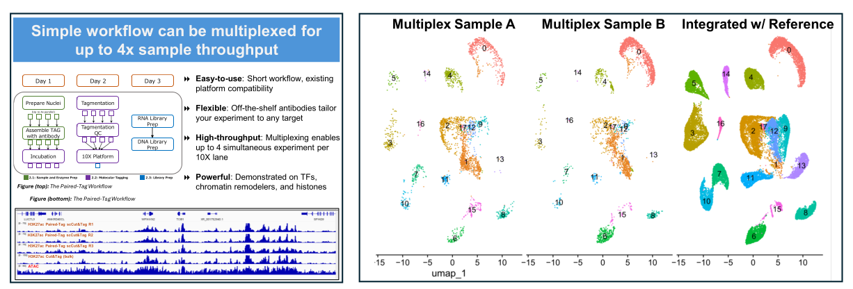 Comparative analysis showing time-course data from multiplexed Paired-Tag experiment