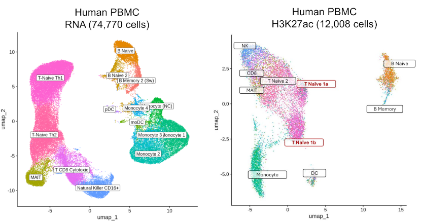 Paired-Tag data in PBMC showing both RNA and H3K27ac UMAP