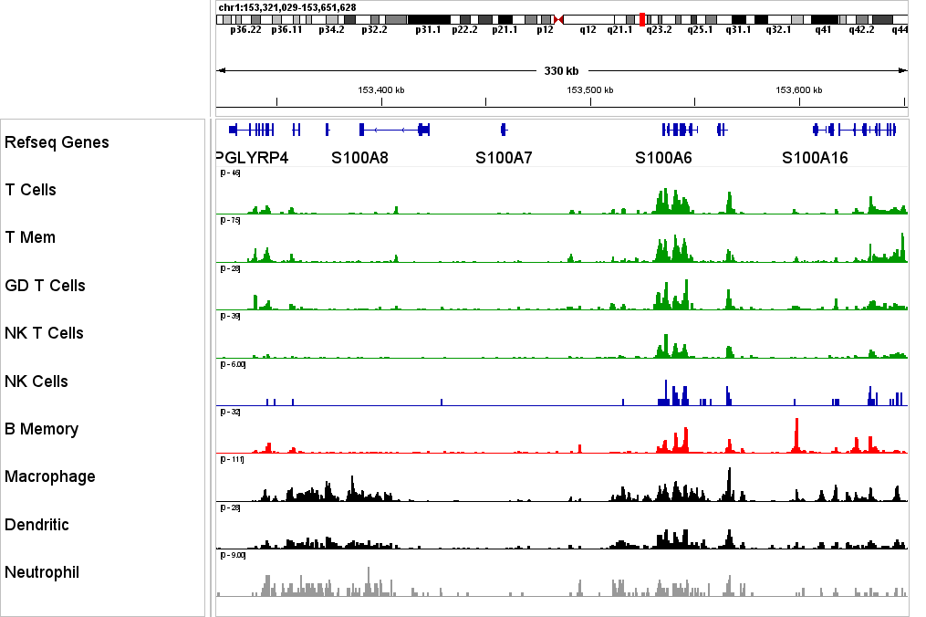 IGV Screenshot showing cell-type H3K4me1 CUT&Tag tracks from scCUT&Tag