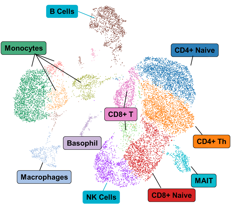 Single-cell CUT&Tag data showing cell-type-specific histone mark enrichment