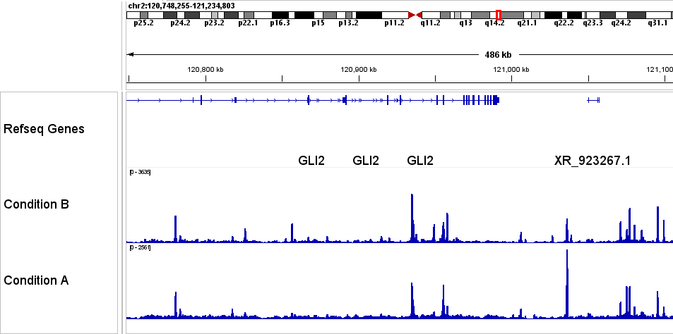 IGV tracks showing chromatin accessibility between two conditions
