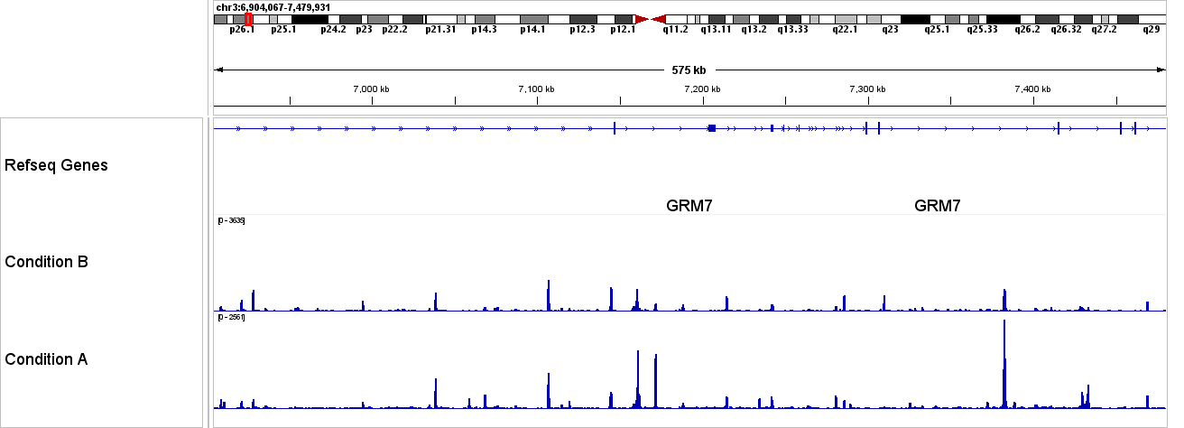 IGV of cluster-level ATAC pseudobulk