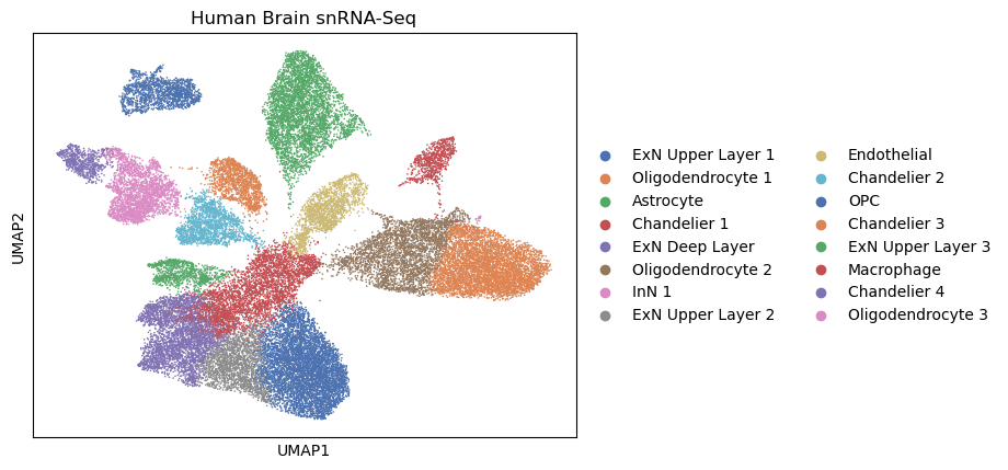 UMAP embedding showing single-cell RNA-seq clustering