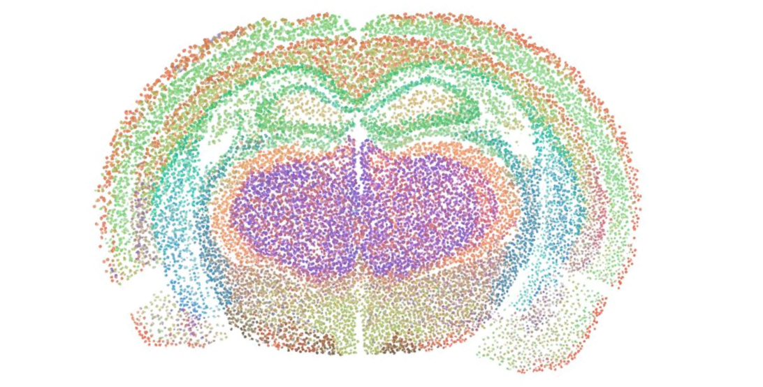Curio Trekker spatial coordinates, colored by Leiden cluster