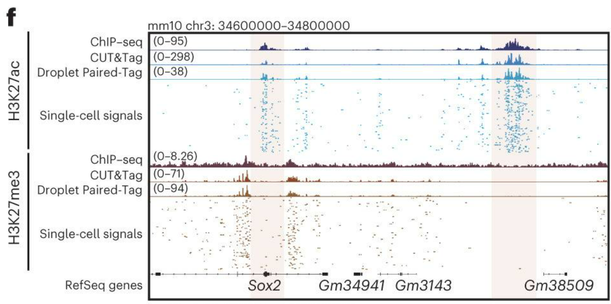 IGV tracks showing single-cell histone profiling