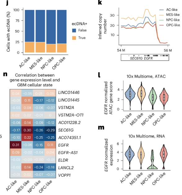 Multi-panel figure describing subclonal heterogeneity as AC-like MES-like OPC-like and NPC-like