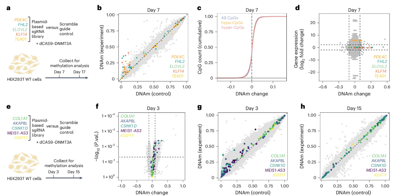 Composite panels of CRISPR sgRNA screens, DNAm and gene expression.