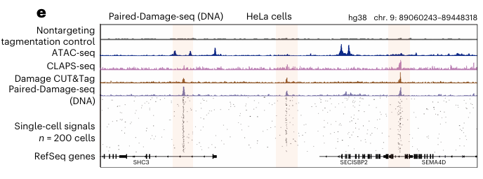 Genome tracks of damage, ATAC, CLAPS, CUT&Tag, and single-cell signals.