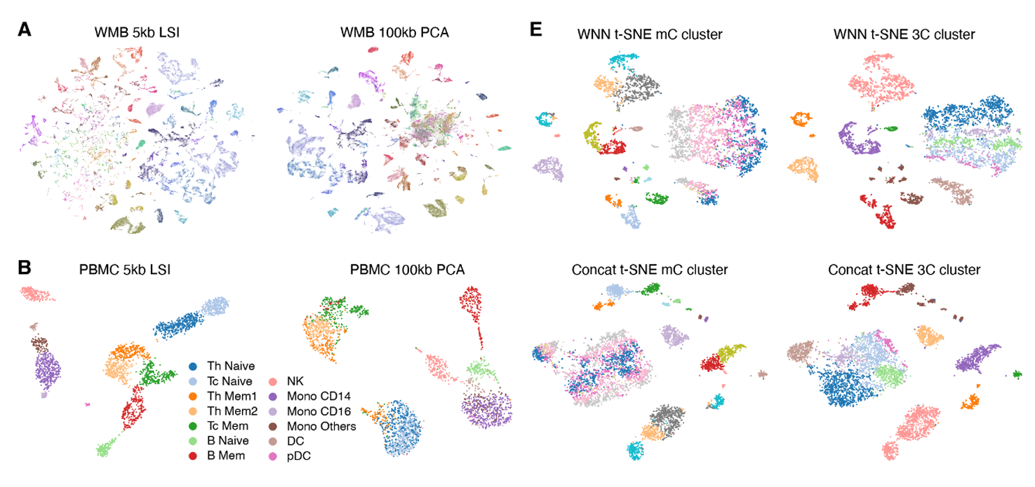 LSI, PCA, and WNN t-SNE embeddings for WMB and PBMC data.
