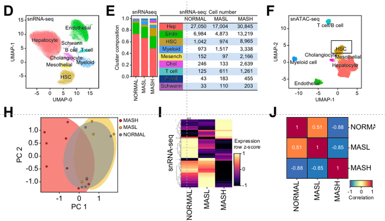 UMAPs, composition chart, PCA, heatmap, and correlation matrix.
