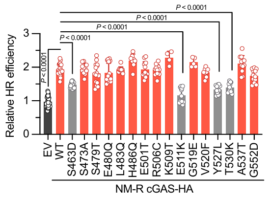Bar plot showing dna repair efficiency for a number of amino acid changes in cGAS