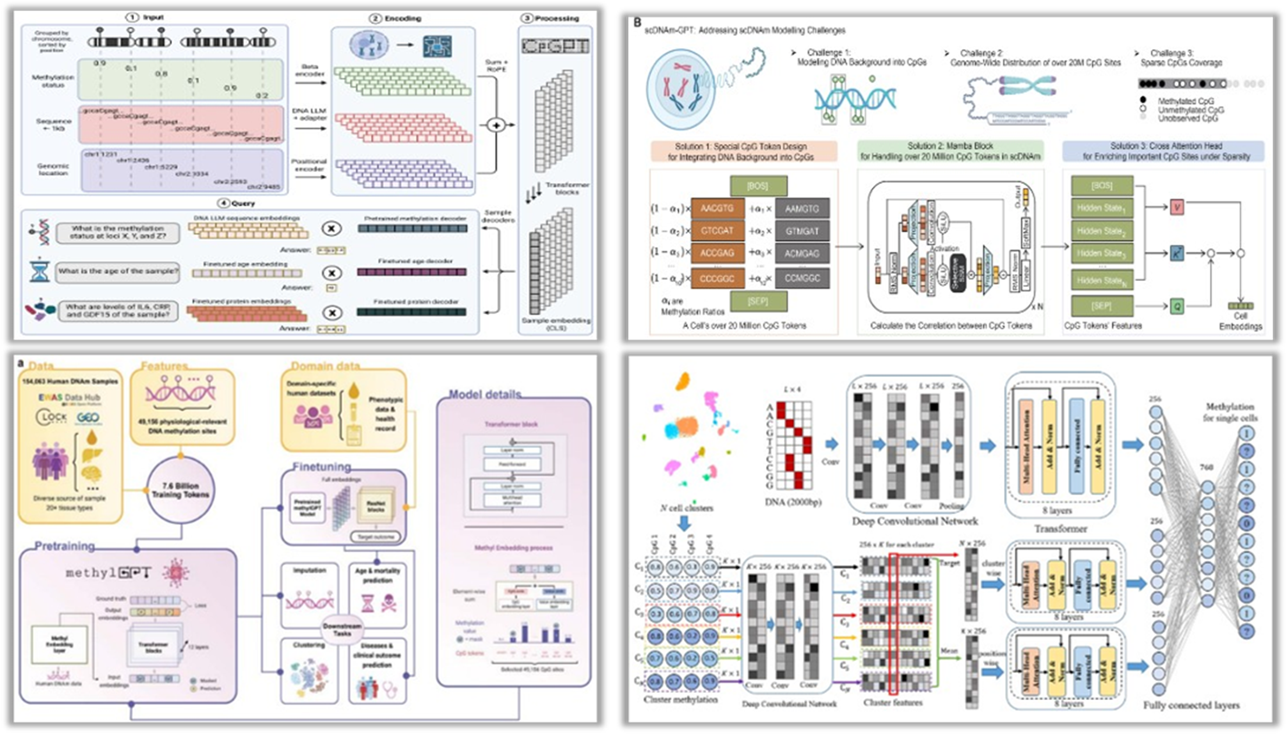 Multi-panel image showing architecutres from the models under study
